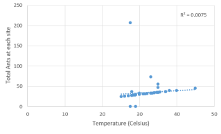 TempAnt scatterplot